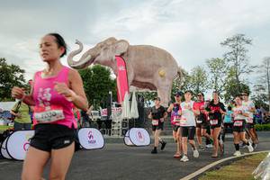 BIB: 
                            <button type="button" onclick="openModal(26528337)" class="btn btn-primary btn-sm float-right btn-popup" data-toggle="modal" data-target=".modal-high-quality">
                        <i class="fas fa-shopping-cart"></i> Add to Cart
                    </button>
                                            <button type="button" onclick="isThisMe(26528337, true)" class="btn btn-success btn-sm float-right btn-popup btn-isme hidden" data-toggle="tooltip" data-placement="bottom" title="นี่คือรูปของคุณใช่ไหม คลิกที่นี่เพื่อเอาเข้าอัลบั้ม">
                        <i class="fas fa-plus"></i> Add to album
                    </button>
                    <button type="button" onclick="isThisMe(26528337, false)" class="btn btn-warning btn-sm float-right btn-popup btn-isnotme hidden">
                        <i class="fas fa-ban"></i> Remove from album
                    </button>